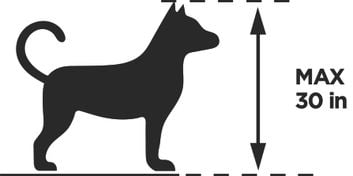 Illustration of dog with arrow showing the maximum height of the Thule Bexey L.